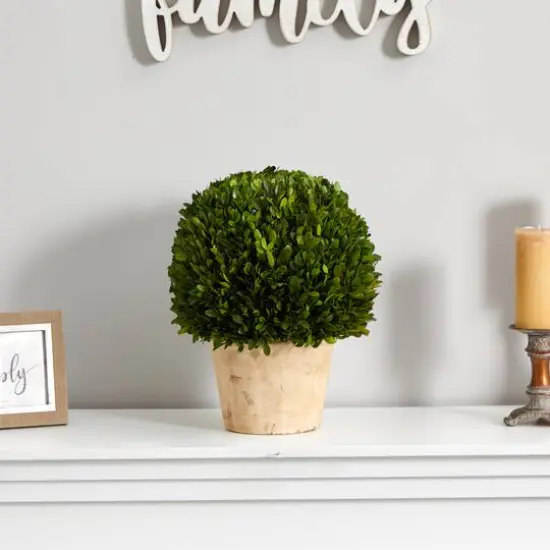 15'' Boxwood Ball Preserved Plant in Brown Planter {4}