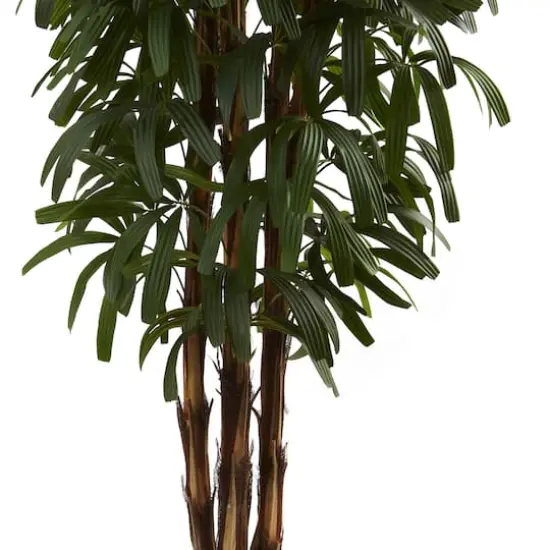 6ft. Potted Green Raphis Palm Tree {4}