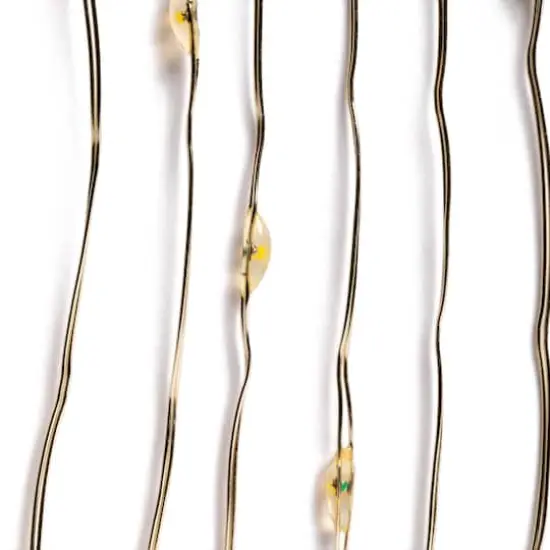 40ct. Warm White Silver Wire LED String Lights by Ashland® {4}