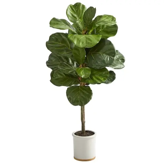 3.5ft. Fiddle Leaf Tree in White Ceramic Planter {1}
