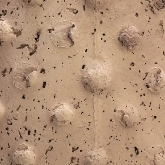 Hello Honey&reg; 7'' Distressed Finish Sandstone Hobnail Planter {12}