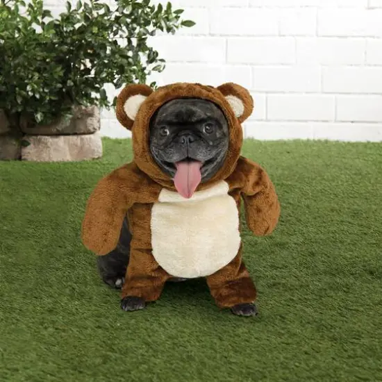 Teddy Bear Dog Costume by Ashland&reg; {3}