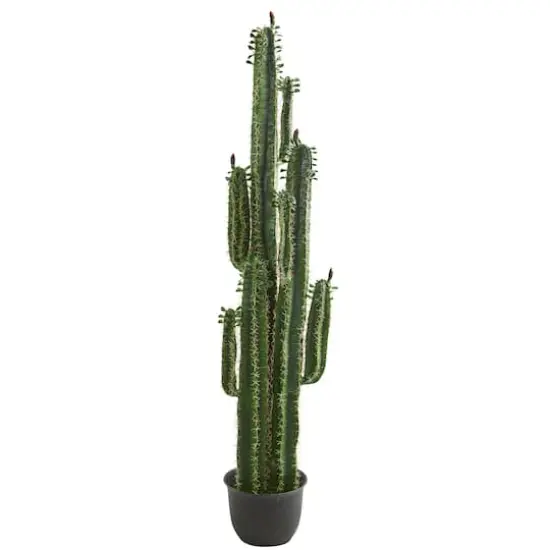 6.5ft. Potted Cactus Plant {1}