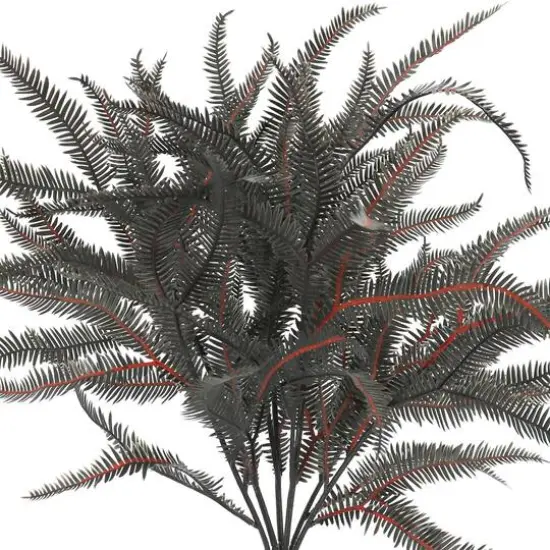 16" Black Dripping Boston Fern Bush by Ashland&reg; {3}