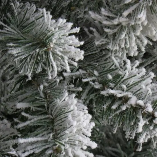 7.5ft. Unlit Snowy North Valley&reg; Spruce Artificial Christmas Tree {4}