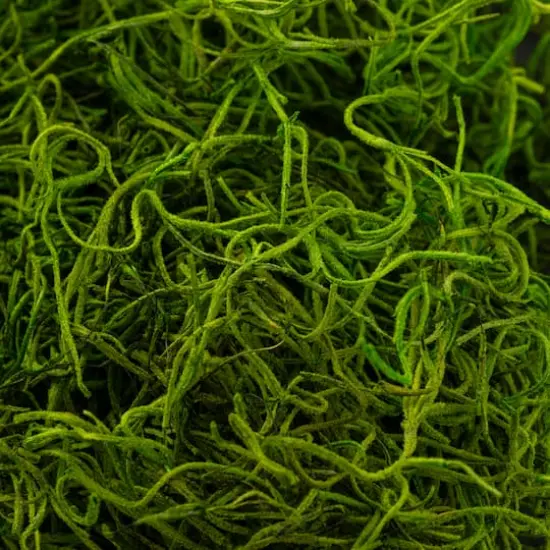 SuperMoss&reg; Preserved Spanish Moss, Grass Green {7}