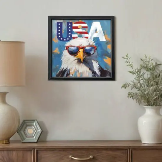 16" x 16" Patriotic Bald Eagle Framed Print Black Frame {5}