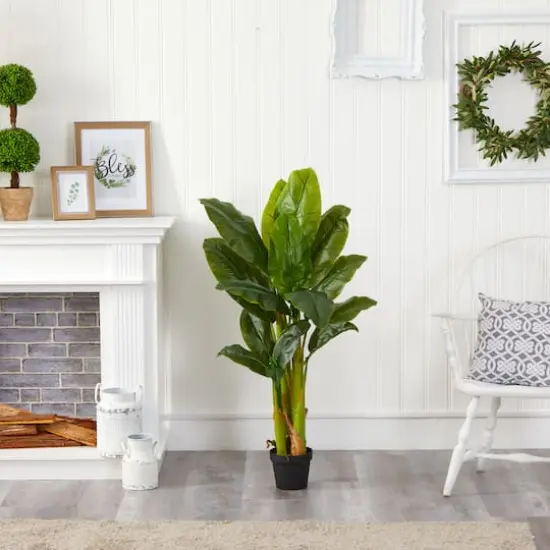 4ft. Potted Triple Stalk Banana Tree {4}