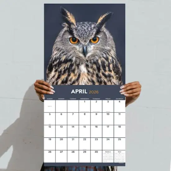 2026 Owls Wall Calendar {5}
