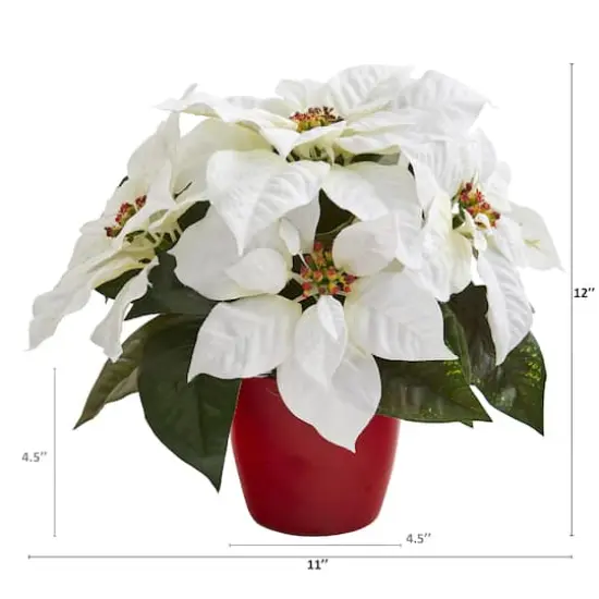12" Potted White Poinsettia Set {3}