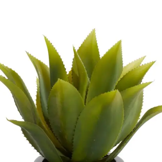 22" Potted Contemporary Succulent Artificial Foliage {6}