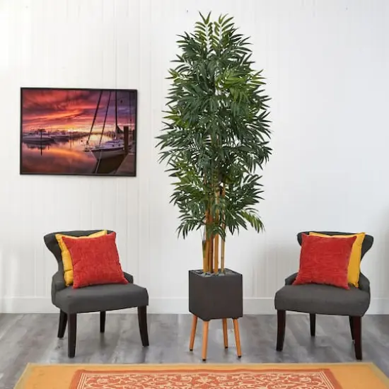 6.5ft. Phoenix Palm Tree in Black Planter with Stand {4}