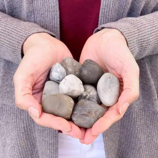 ArtSkills&reg; Medium Decorative River Rocks {7}