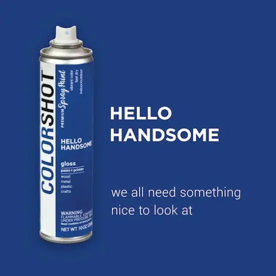 COLORSHOT&reg; Premium Gloss Spray Paint Hello Handsome {3}