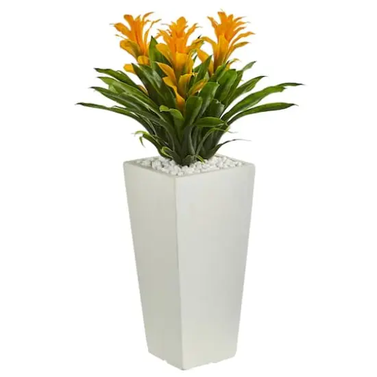 2ft. Triple Bromeliad Plant in White Tower Planter {1}