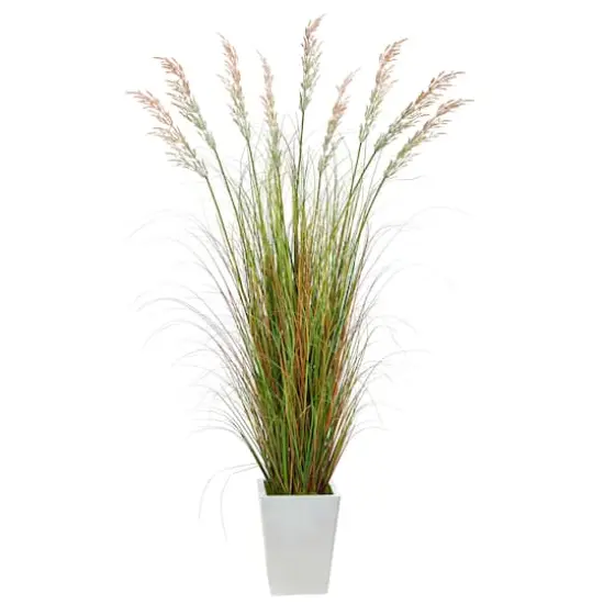 6ft. Grass Plant in White Metal Planter {1}