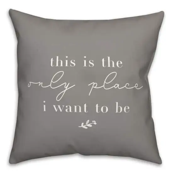 18" x 18" Only Place Versatile Throw Pillow Gray {1}