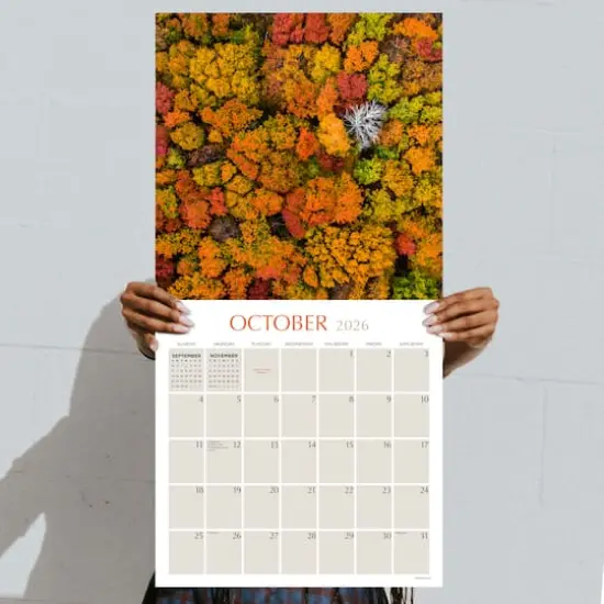 2026 Trees Wall Calendar {5}