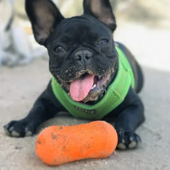 Ruff Dawg&trade; Weenut Rubber Indestructible Retrieving Dog Toy {5}