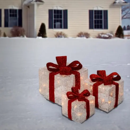 White & Red Gift Box Set with Clear Lights {3}