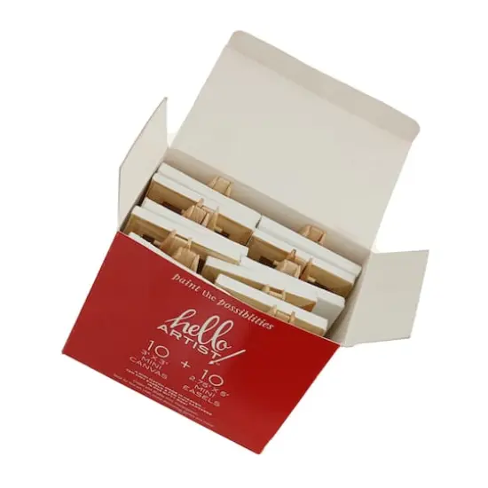 Hello Artist!&trade; Mini Canvas with Easel Party Pack {4}