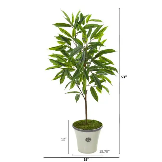 4ft. Ficus in Decorative Planter {3}