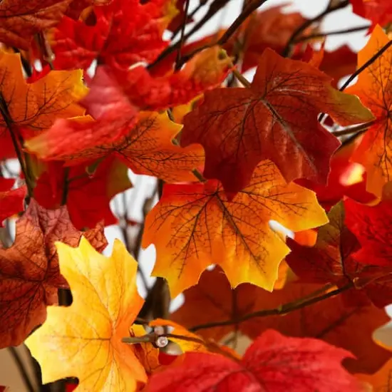 4ft. Pre-Lit Deluxe Autumn Maple Artificial Fall Tree with 68 Warm White LED Lights {5}