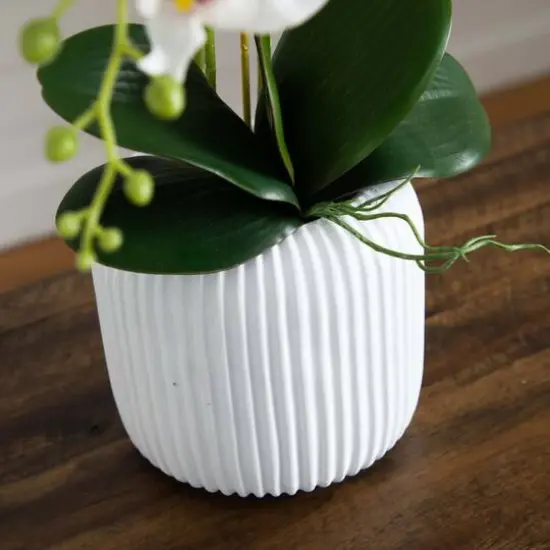 2ft. Orchid Arrangement in Decorative Ceramic Vase {9}
