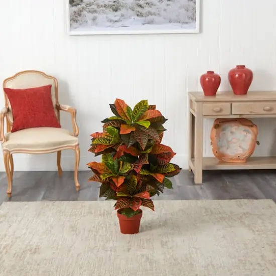 3ft. Potted Croton Plant {4}