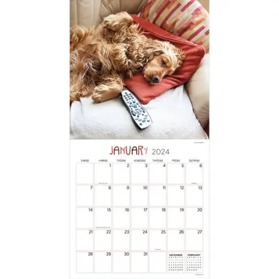 TF Publishing 2024 Dog Dreams Wall Calendar {4}