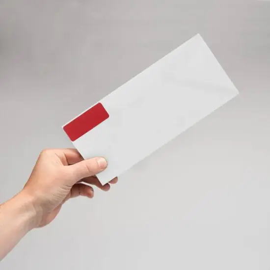 JAM Paper Standard Mailing Return Address Labels Red {7}