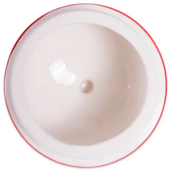 DII&reg; Small Ceramic Red Canister {11}