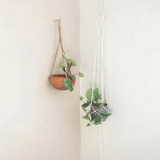 Hello Honey&reg; 57" Natural Cotton Macrame Plant Hanger {3}
