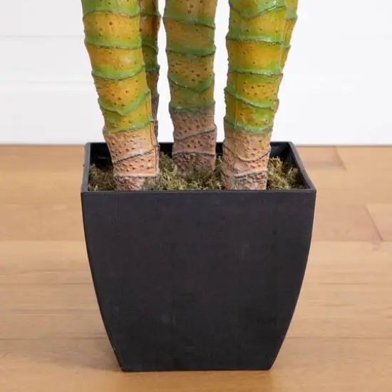 9.5ft. Potted Giant 5 Stalk Areca Palm Tree {6}