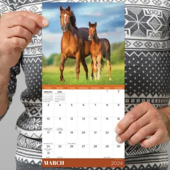 TF Publishing 2024 Horses Mini Calendar {6}