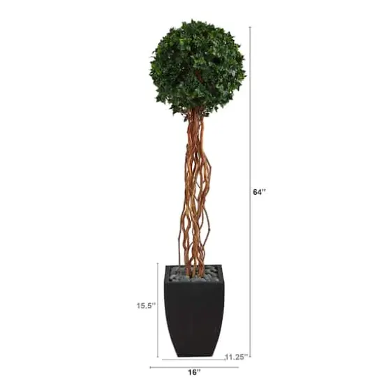5.5ft. English Ivy Single Ball Artificial Topiary Tree in Black Planter {3}