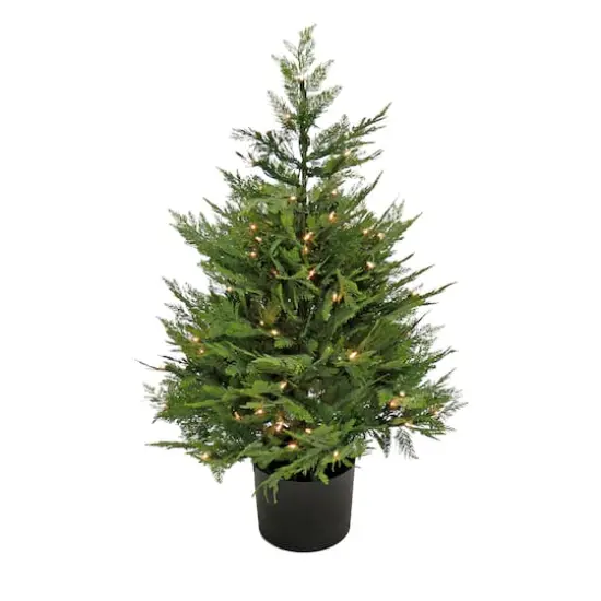 3ft. Pre-Lit Cypress Tree In Nursery Pot {1}