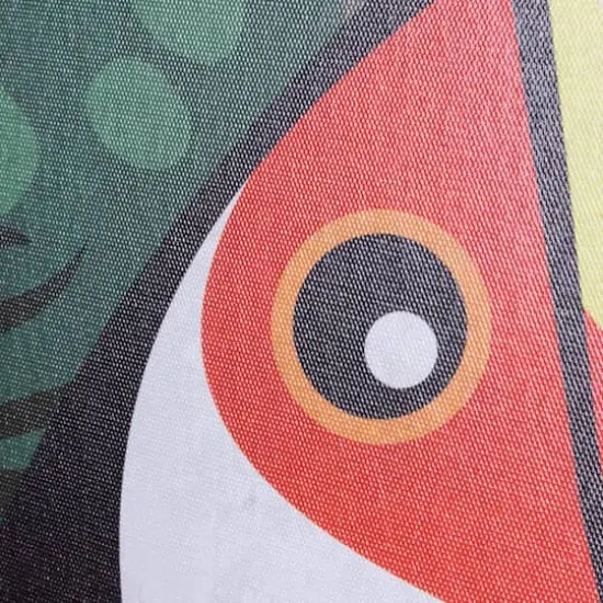 Toucan Birds Outdoor Canvas Art Print - 35"x35" {5}