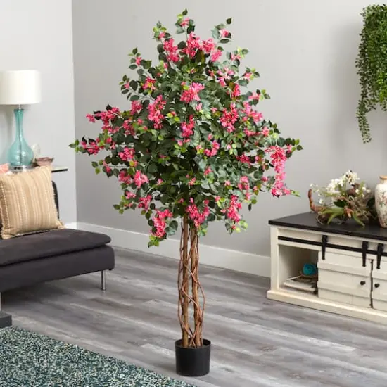 5.5ft. Potted Bougainvillea Tree {3}