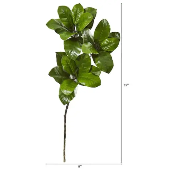 3ft. Magnolia Leaf Spray Plant, 3ct. {3}