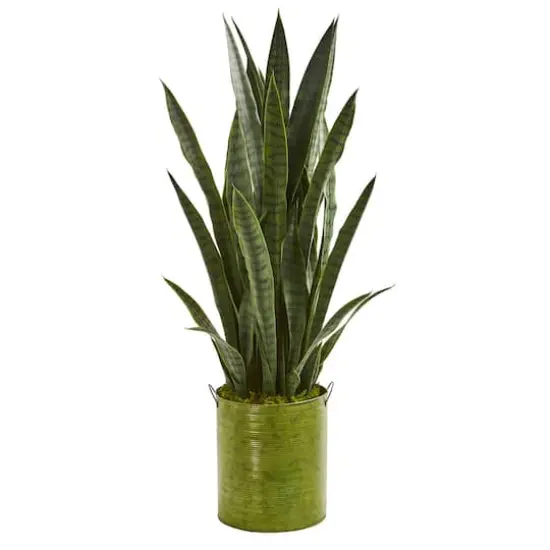 3ft. Snake Plant in Green Metal Planter {1}