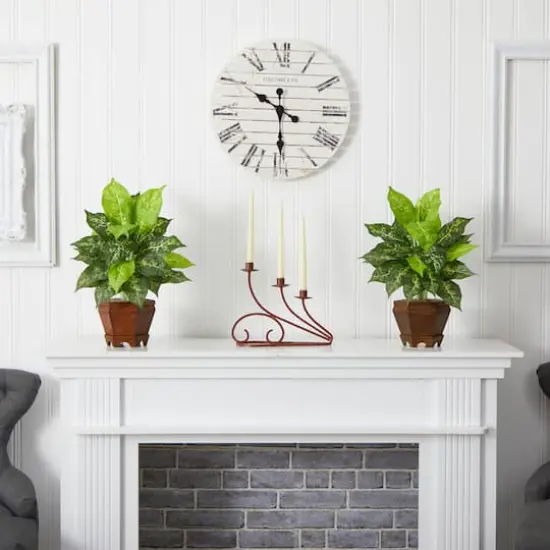 20.5" Variegated Dieffenbachia In Wood Vase, 2ct. {5}