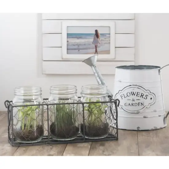 DII&reg; Vintage Gray Chicken Wire Caddy with Clear Jars {6}