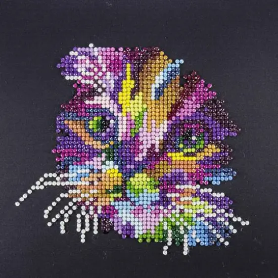 Diamond Art Beginner Colorful Cat Kit {1}