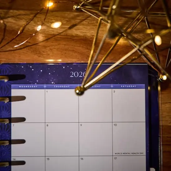 The Classic Happy Planner&reg; Star Signs {10}