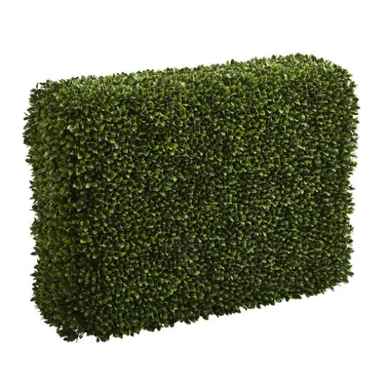 3.5ft. Boxwood Hedge {1}