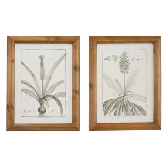 Brown & Cream Vintage Botanical Framed Wall Art Set {1}