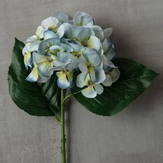 25" Hydrangea Stem by Ashland&reg; Blue and Green {5}