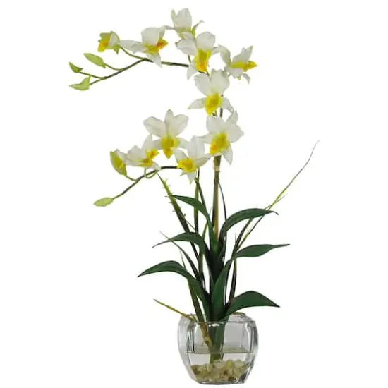 22" Dendrobium Arrangement in Glass Vase {1}