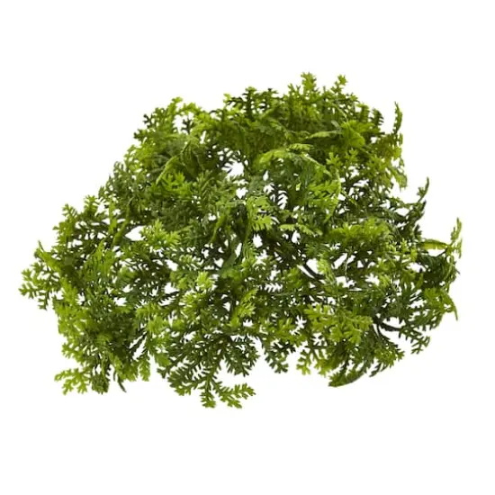 Green Moss Bush, 12ct. {1}